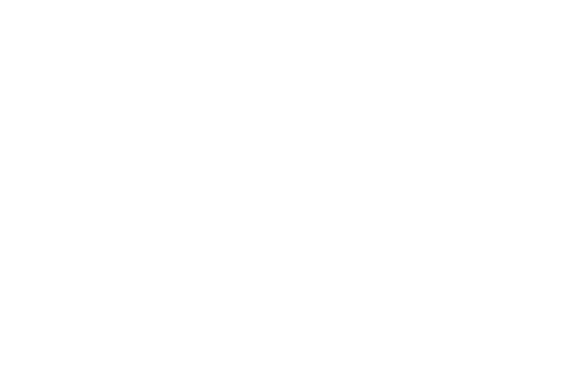 Orion Travel