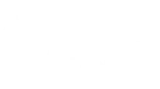 Vital Synergy
